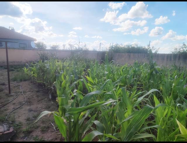 3 BEDROOM HOUSE FOR SALE IN MAHLASEDI PARK